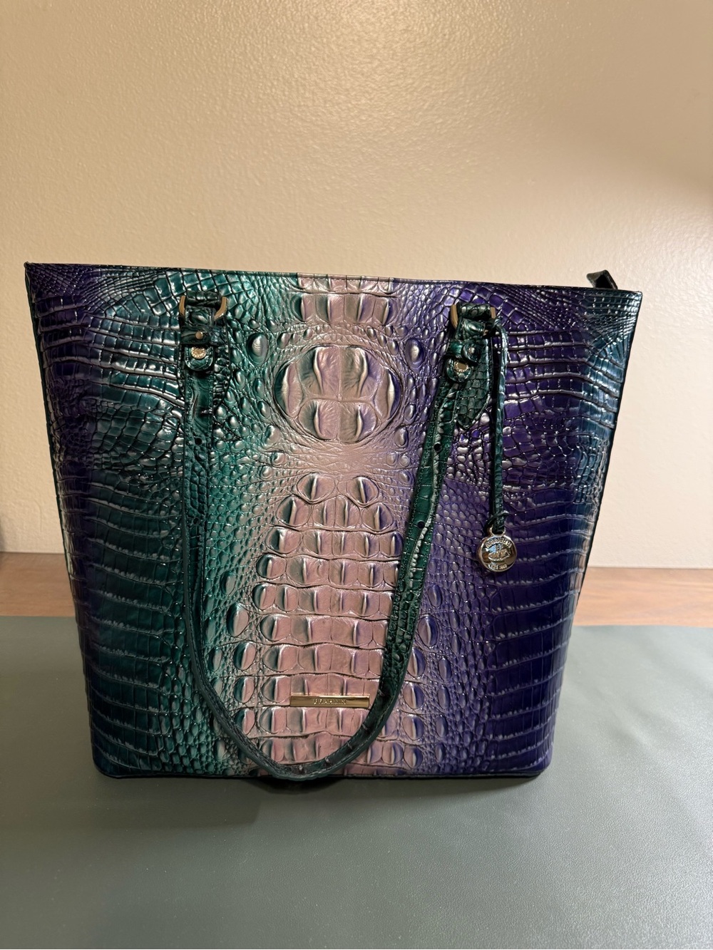 Brahmin Ellen Enchant Ombre Excellent Condition